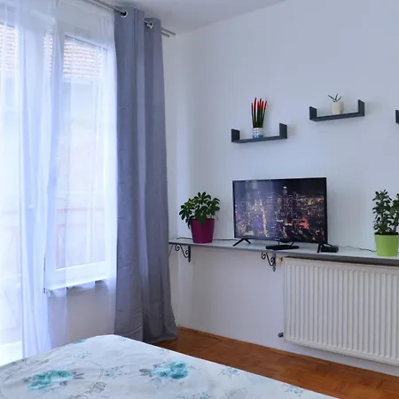 Apartment Moravica Cacak