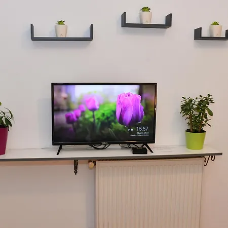 Moravica Apartment Cacak