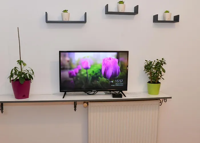 Moravica Appartement Čačak